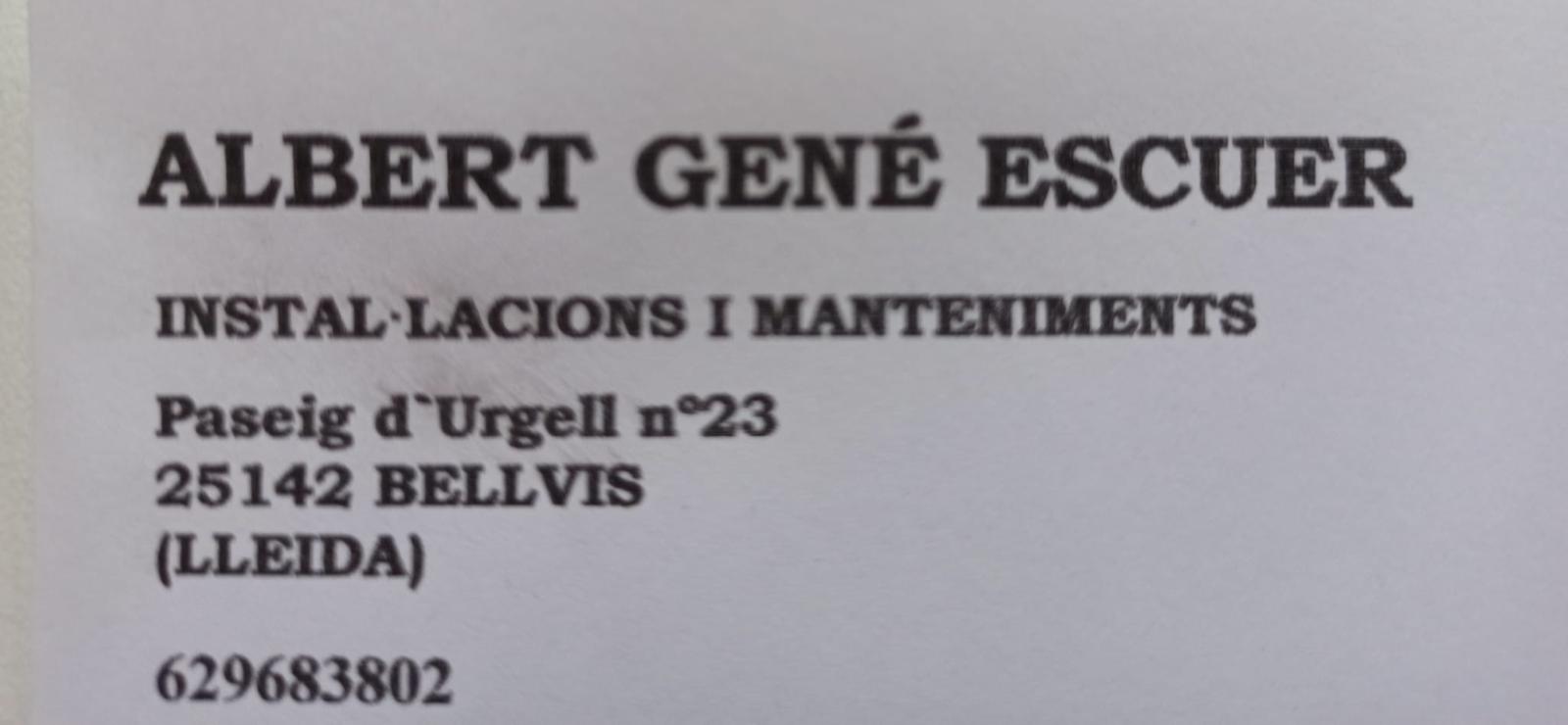 Albert Gené Escuer